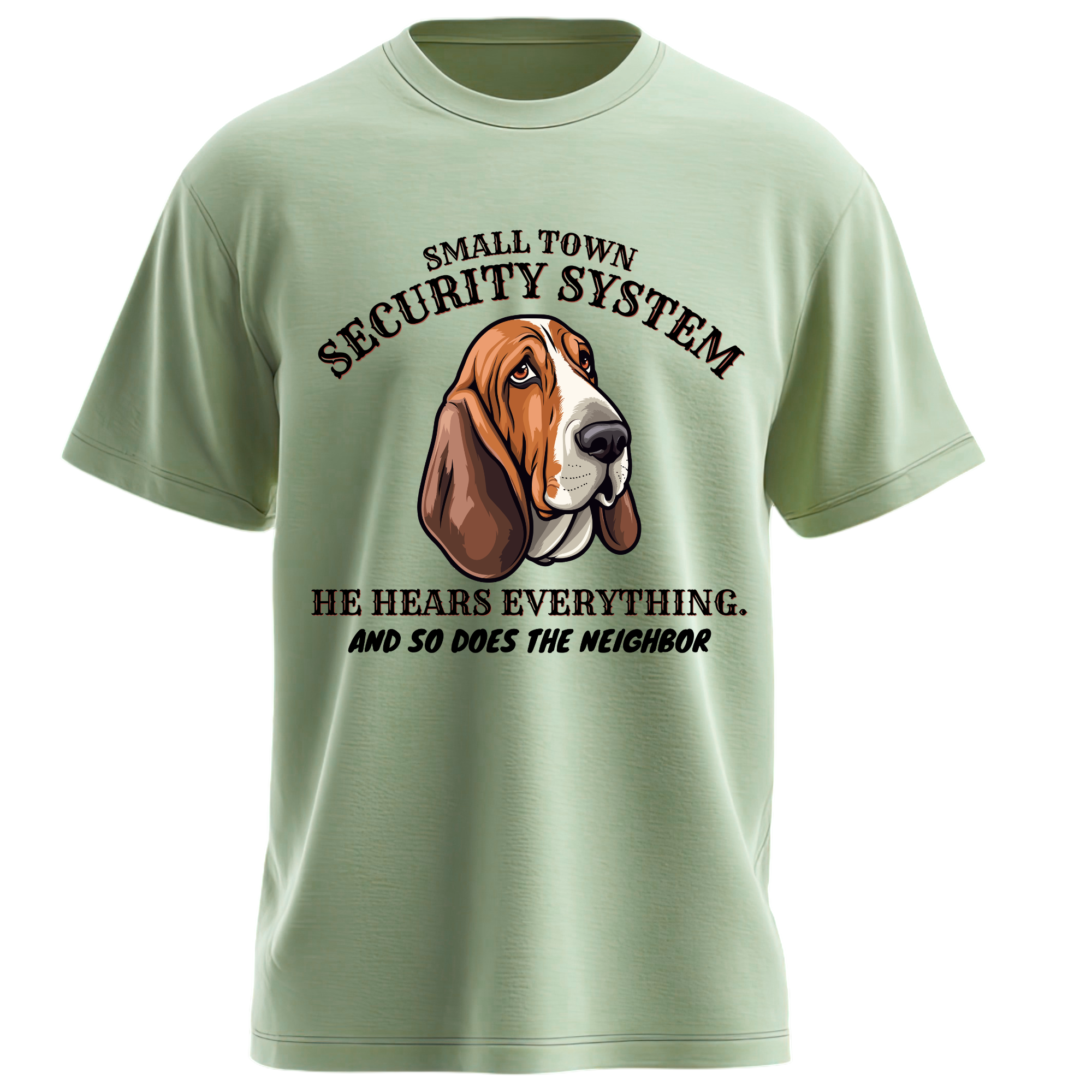 Small Town Security System - Image 3