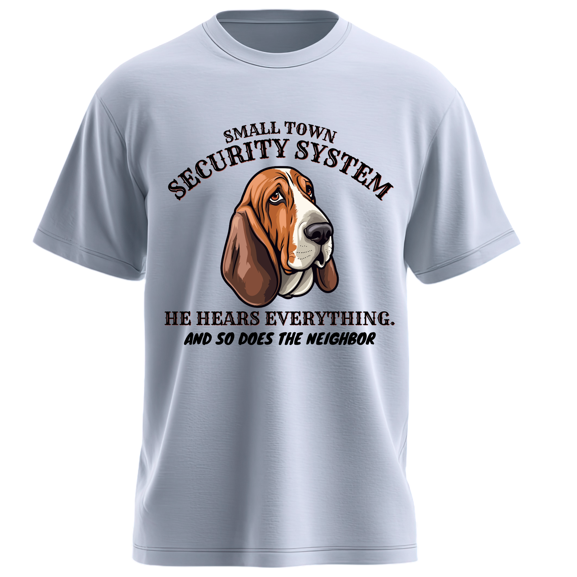 Small Town Security System - Image 4