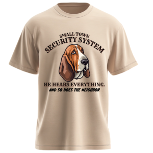 Small Town Security System