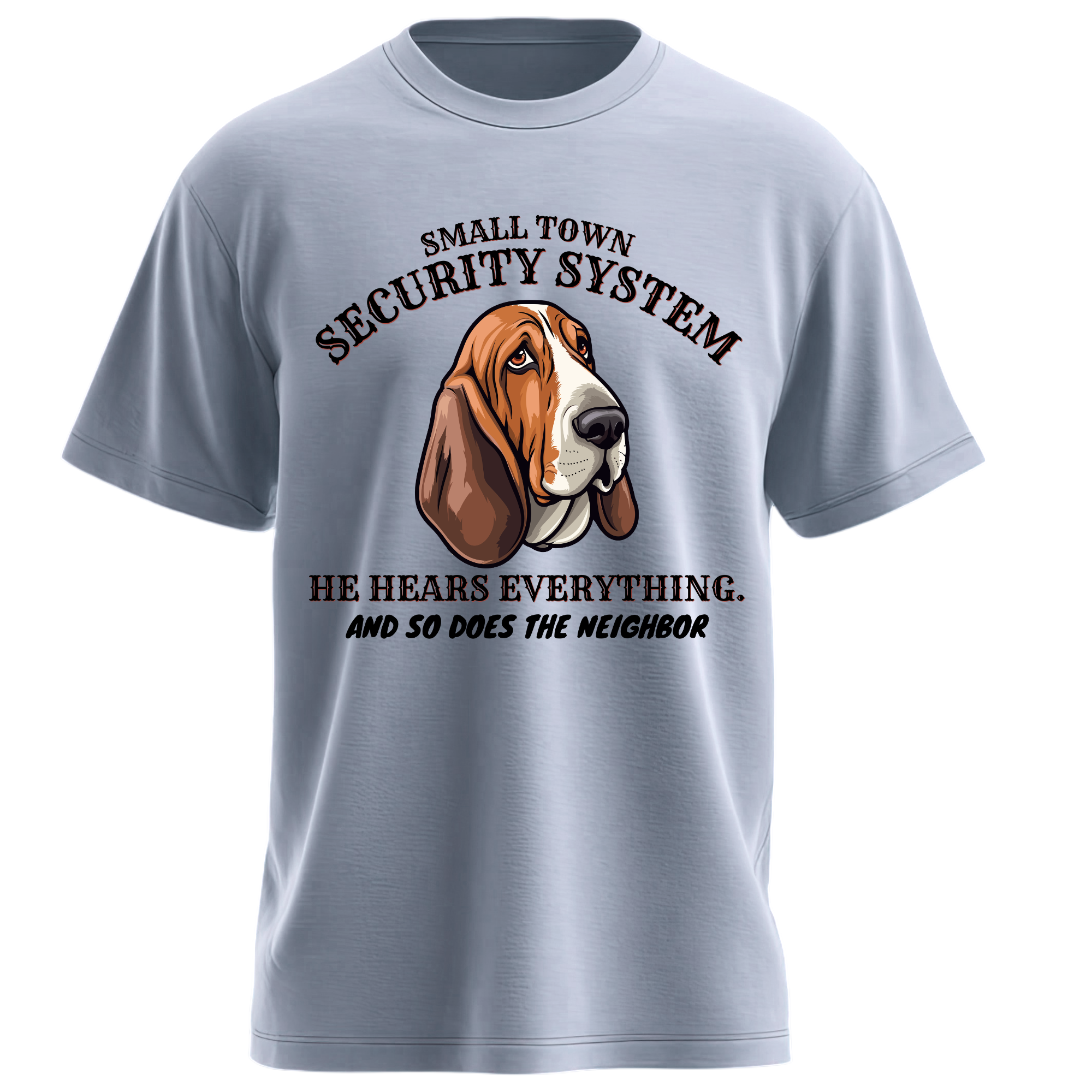 Small Town Security System - Image 2